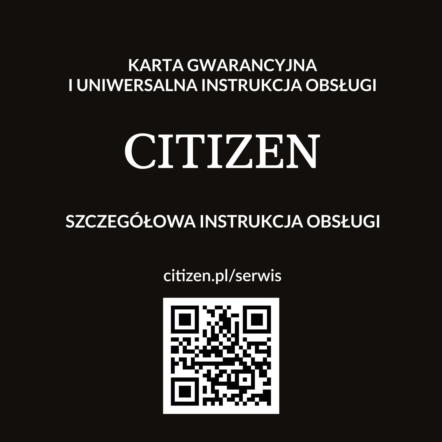 Zegarek męski Citizen BF2011-01EE