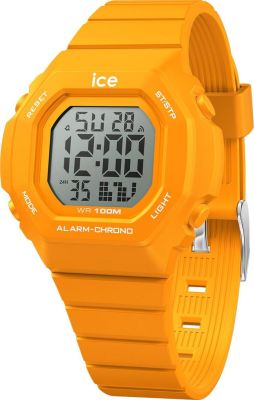  Ice-Watch 022102
