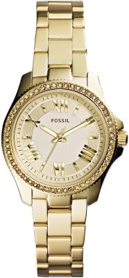  Fossil AM4577