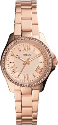  Fossil AM4578