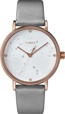  Timex TW2T87500                                      %